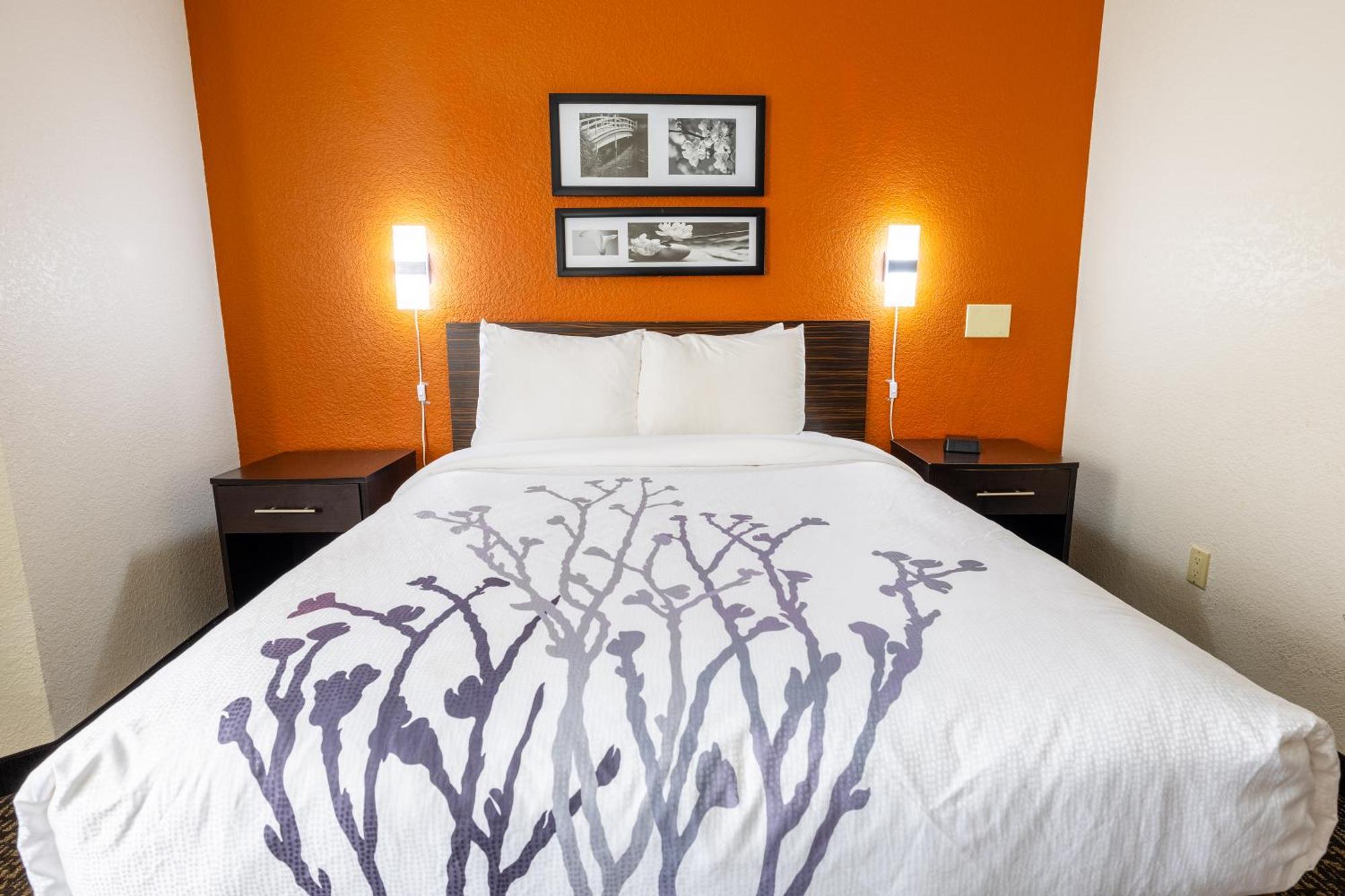 Sleep Inn Ormond Beach - Daytona Eksteriør billede